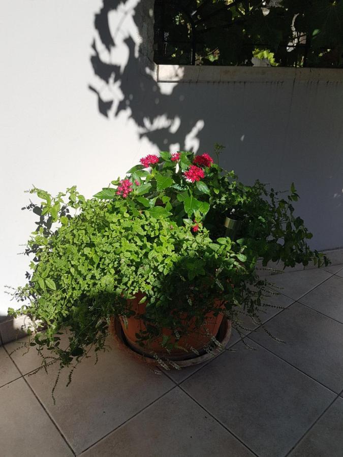 Apartment 22 Omis Luaran gambar